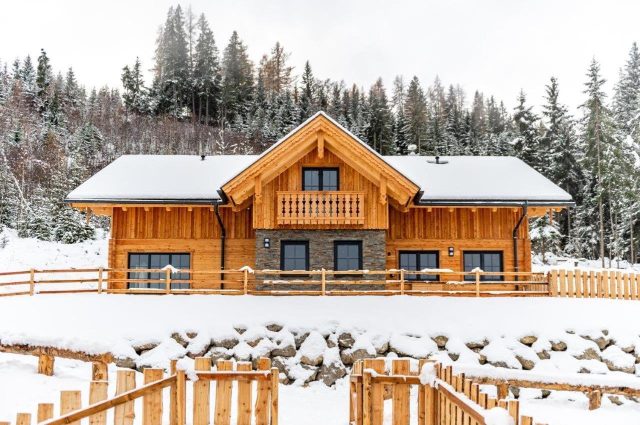 Poolchalet Dachsteinblick プルークガーン エクステリア 写真