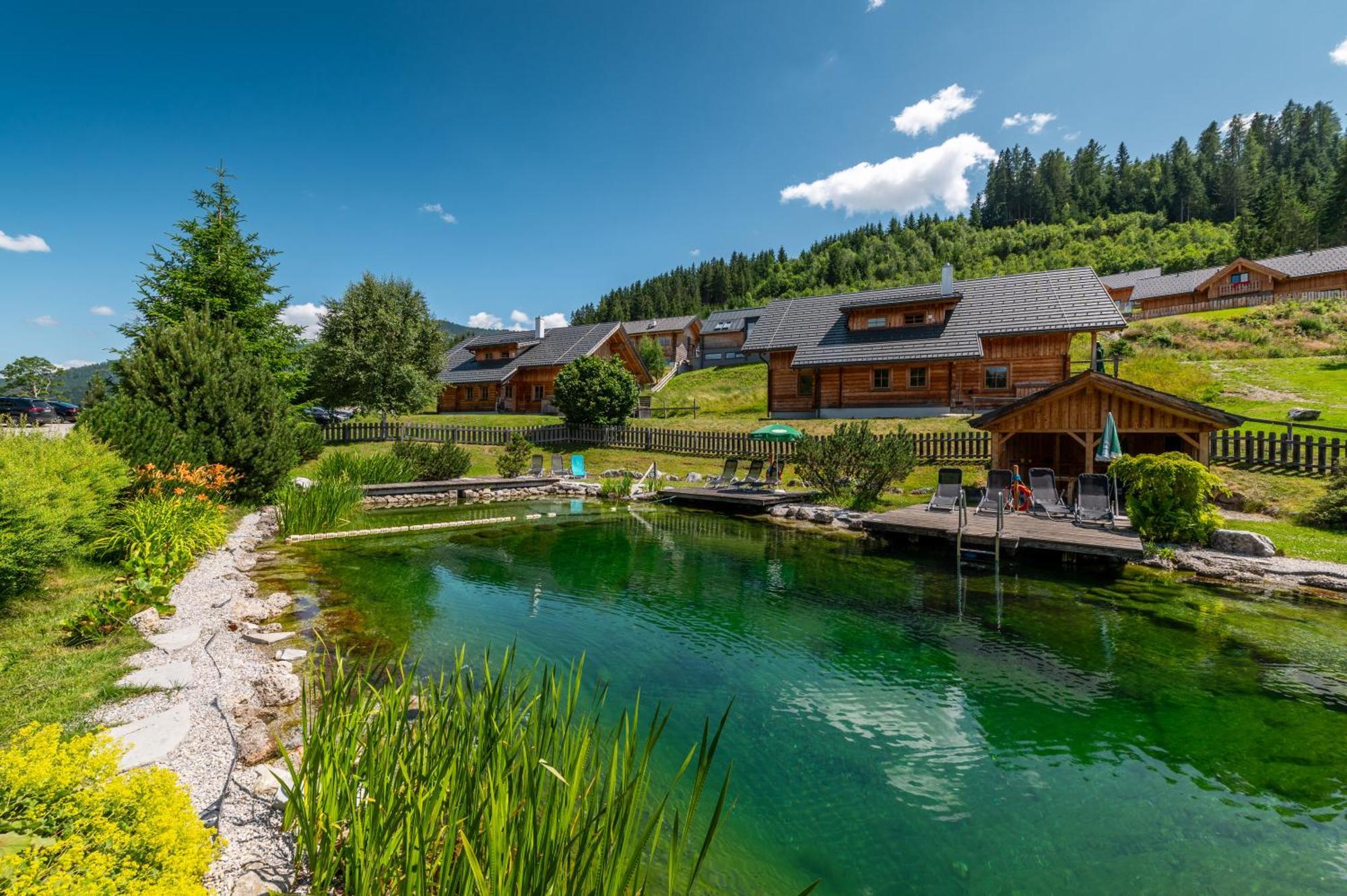 Poolchalet Dachsteinblick プルークガーン エクステリア 写真